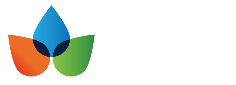 IBEC - Digcomp